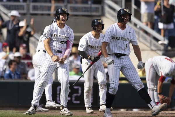 Wake store forest baseball